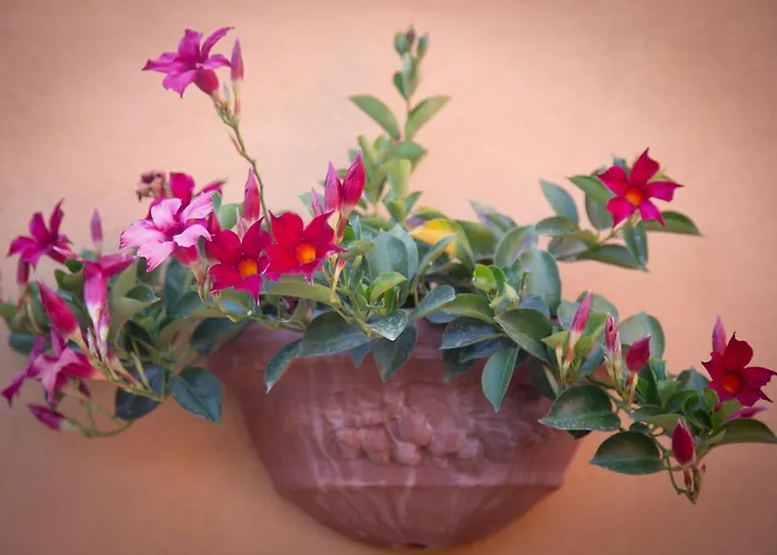 Il Rustichello アパート *