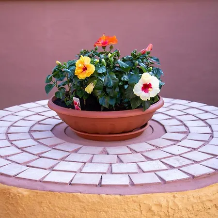 Il Rustichello * פיזה